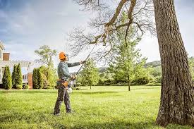 How Our Tree Care Process Works  in Point Baker, FL